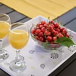 Tim * トロギール